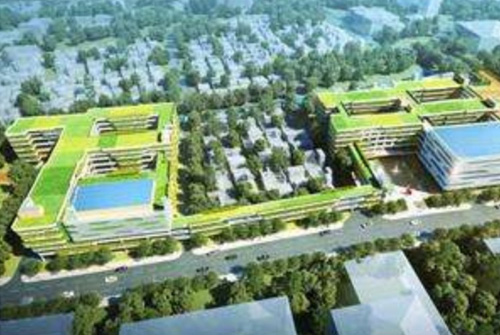 奇槎片區(qū)公辦學(xué)校